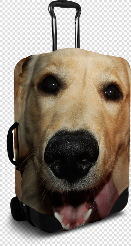 Custom Dog Face Luggage Cover   Sushi Suitcase Cover  HD Png DownloadTransparent PNG