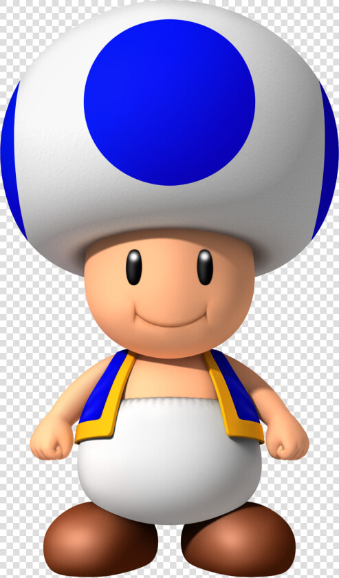 Mario Bros Wii Blue Toad  HD Png DownloadTransparent PNG