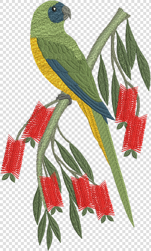 Machine Embroidery Designs   Png Download   Motif Design On Parrot  Transparent PngTransparent PNG