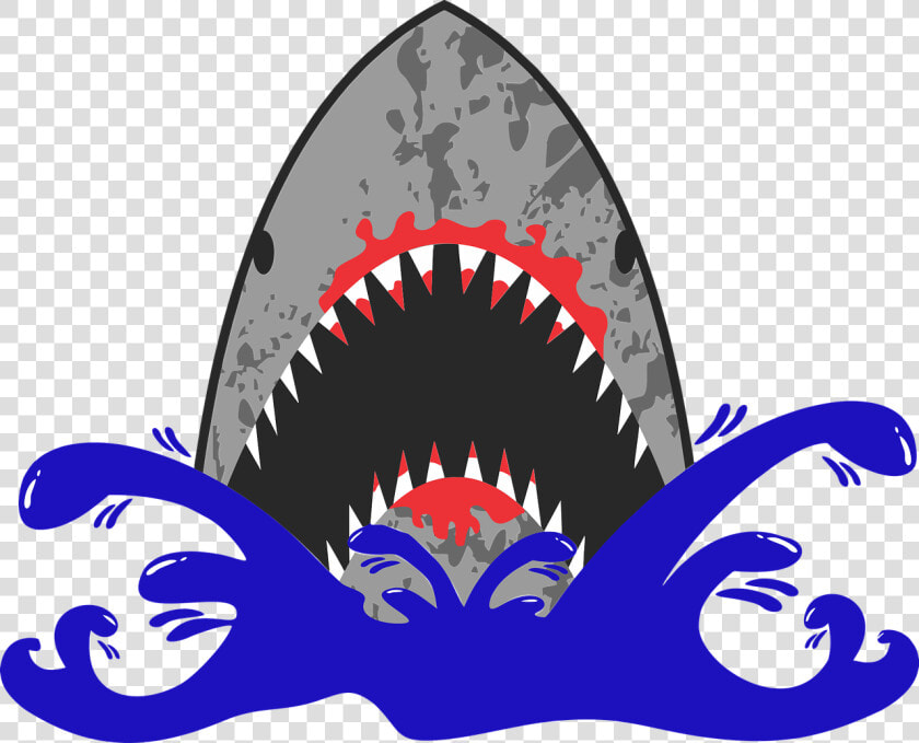 Shark  Wave  Beach  Ocean  Danger  Attack  Blood   Hàm Cá Mập Vector  HD Png DownloadTransparent PNG