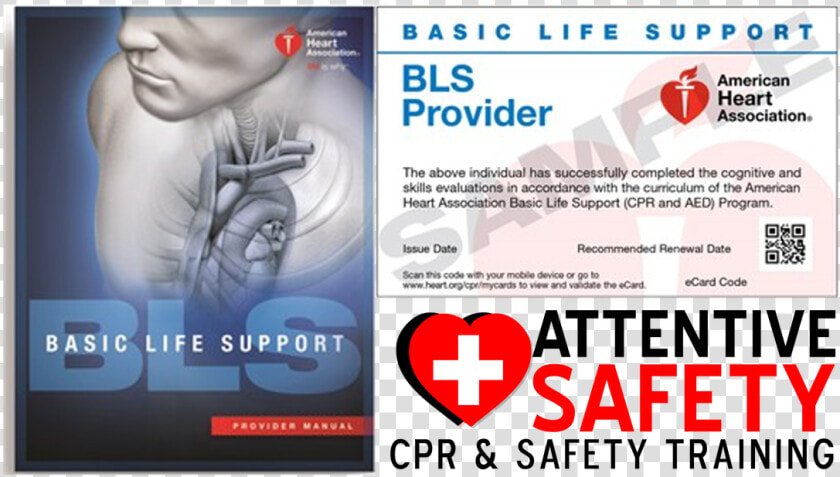 Basic Life Support Pdf American Heart Association  HD Png DownloadTransparent PNG