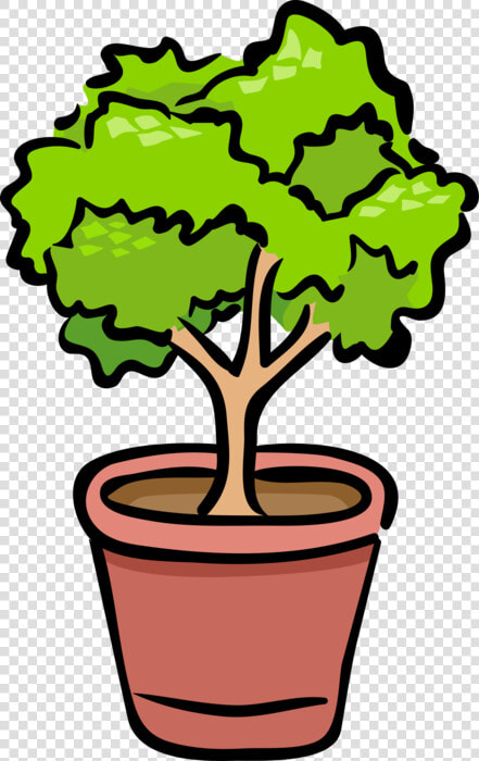 Vector Illustration Of Potted Plant Shrub Or Bush   Benefits Of Phototropism And Gravitropism For Plants  HD Png DownloadTransparent PNG