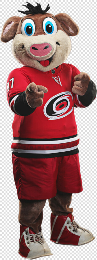 Carolina Hurricanes  HD Png DownloadTransparent PNG