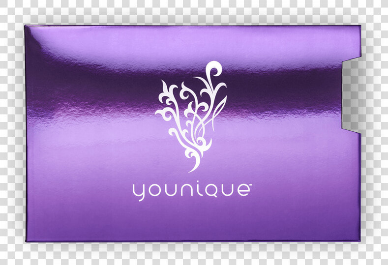 Younique Presenter Kit March 2019  HD Png DownloadTransparent PNG