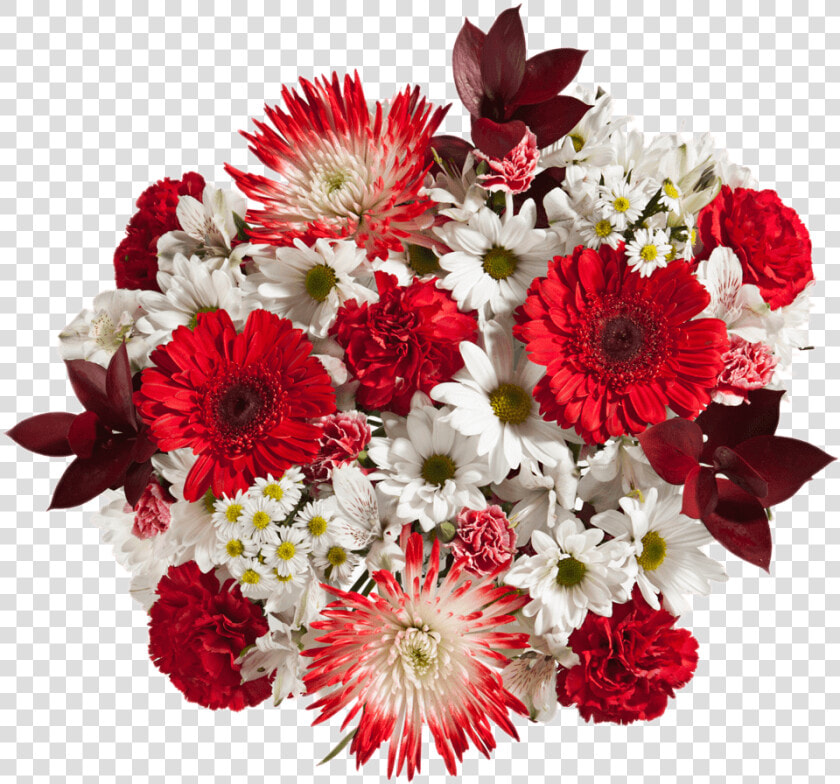 Valentines Flowers Red Carnations Spider Poms White   Bouquet  HD Png DownloadTransparent PNG