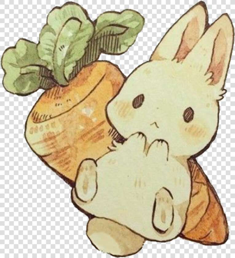 Transparent Bunny With Carrot Clipart   Anime Rabbit  HD Png DownloadTransparent PNG