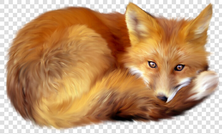 Red Fox Clip Art   Fox Png  Transparent PngTransparent PNG