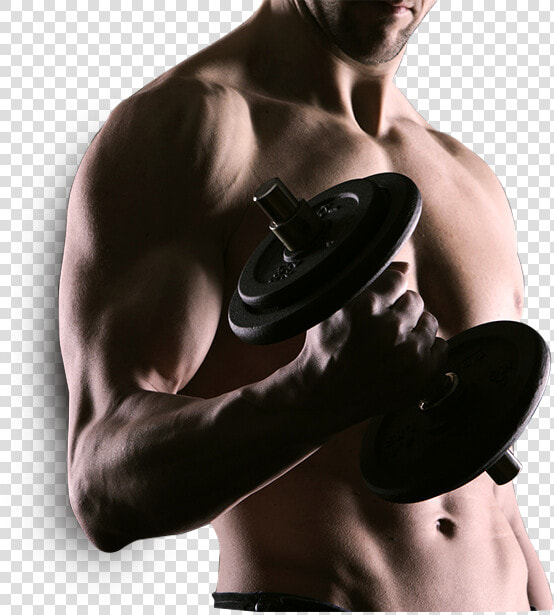 Exercise Should Be Regarded As Tribute  HD Png DownloadTransparent PNG