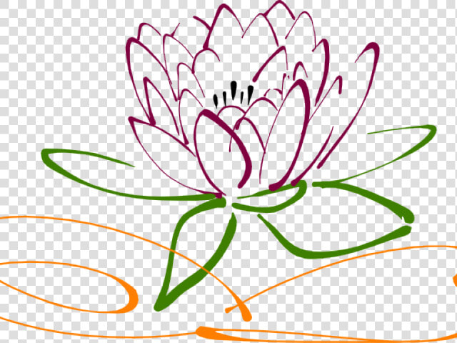 Drawn Lotus Vector   Lotus Flower Drawing Free  HD Png DownloadTransparent PNG