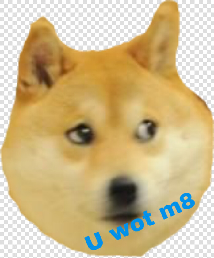  shibenation  doge  meme  freetoedit   Walter Doge Memes  HD Png DownloadTransparent PNG