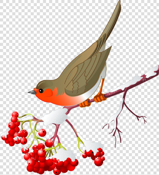 Clip Art Library Stock Berries Drawing Winter   Winter Birds Clipart  HD Png DownloadTransparent PNG