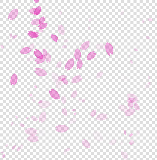 Petal Drawing Cherry Blossom   Transparent Cherry Blossom Petals Falling  HD Png DownloadTransparent PNG