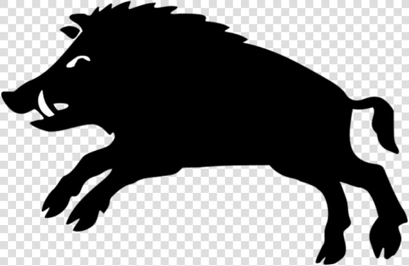 Boar Png  Transparent PngTransparent PNG