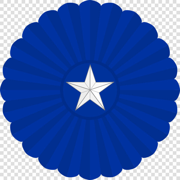 Lone Star Cockade Of Texas   Puerto Rican Flag Skull  HD Png DownloadTransparent PNG