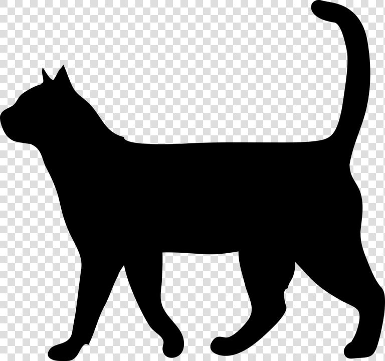 Cat  Animal  The Silhouette  Outside  Domestic Cat   Black Cat Silhouette Walking  HD Png DownloadTransparent PNG