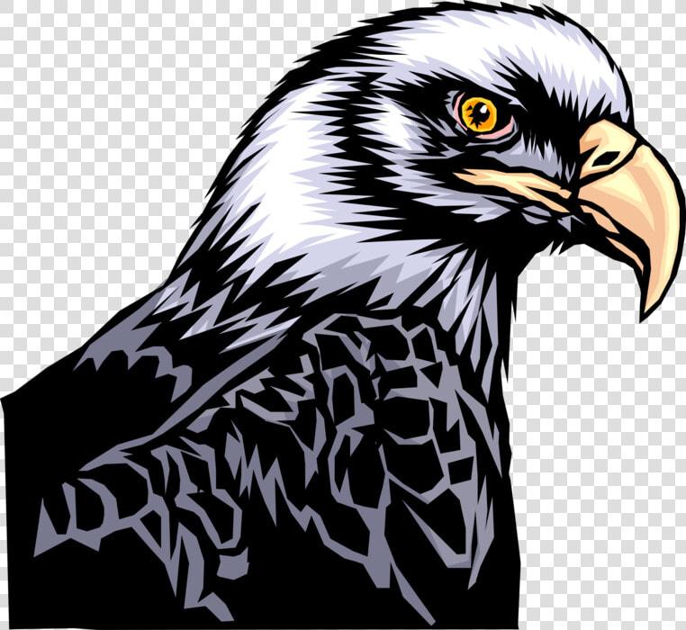 More In Same Style Group   Aguila  HD Png DownloadTransparent PNG