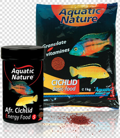 African Cichlid Food   Cichlid  HD Png DownloadTransparent PNG