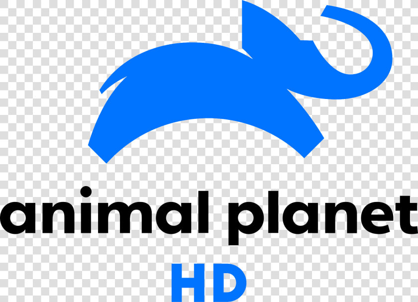 Mihsign Vision   Animal Planet Hd Logo  HD Png DownloadTransparent PNG