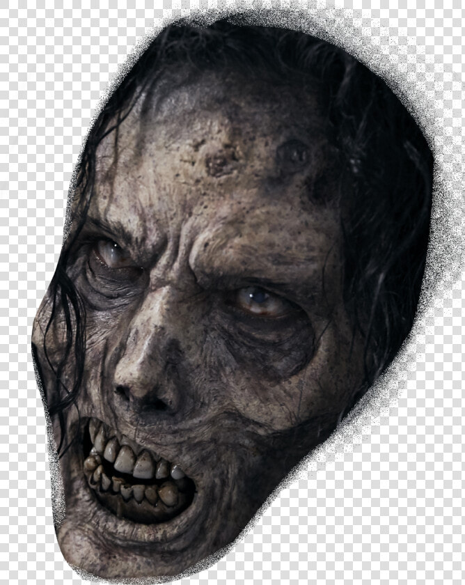  walkingdead  walkingdeadcrossover  head  face  dead   Walking Dead Face Png  Transparent PngTransparent PNG