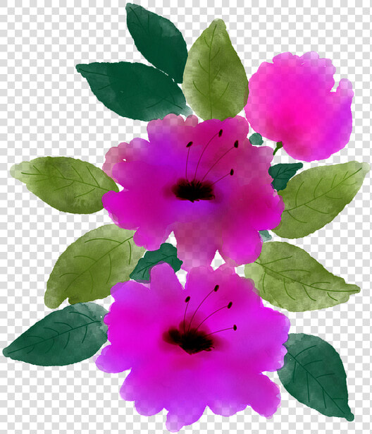 Rosa Rubiginosa  HD Png DownloadTransparent PNG