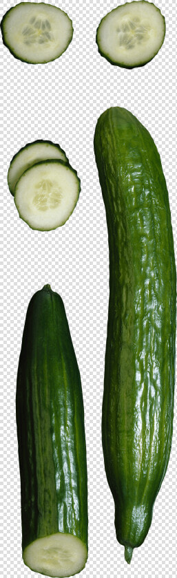 Pepino   Gourd  HD Png DownloadTransparent PNG