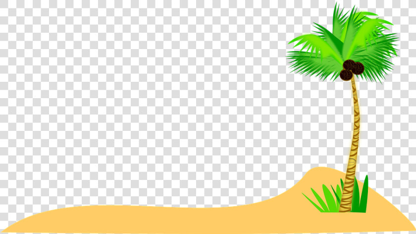 Coconut Tree  Coconut  Sand  Summer  Sea  Beach   Coconut Tree Png Sand  Transparent PngTransparent PNG