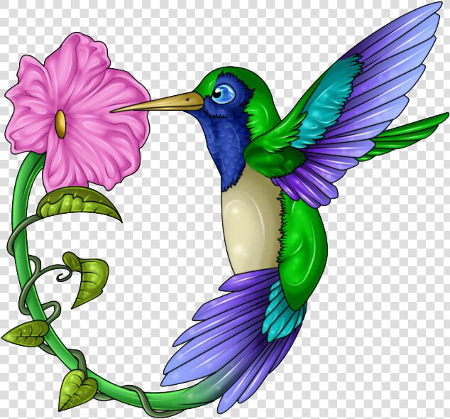 Hummingbird Tattoos Free Download Png   Hummingbird And Flower Clipart  Transparent PngTransparent PNG