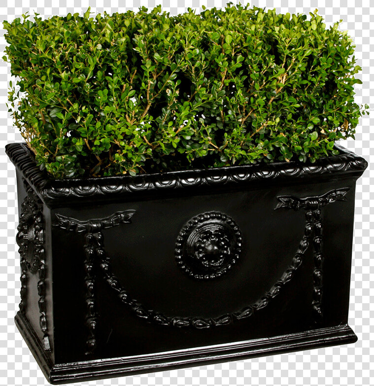 Flowerpot  HD Png DownloadTransparent PNG