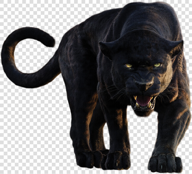 Panther Png Clipart   Jungle Book Movie Bagheera  Transparent PngTransparent PNG