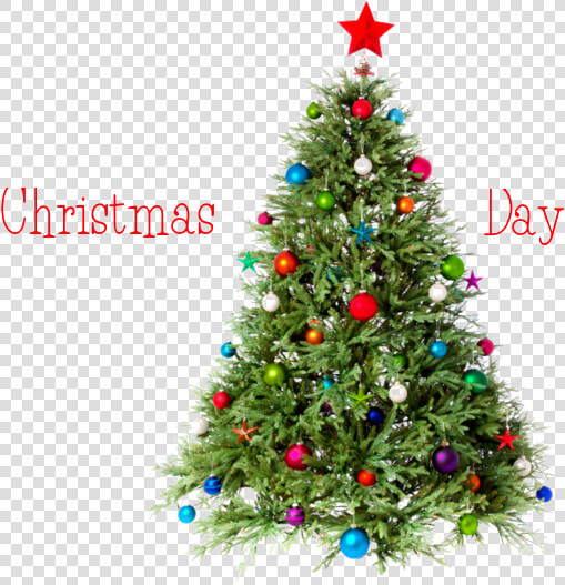 Christmas Day Tree Png Image   Merry Christmas Tree Png  Transparent PngTransparent PNG