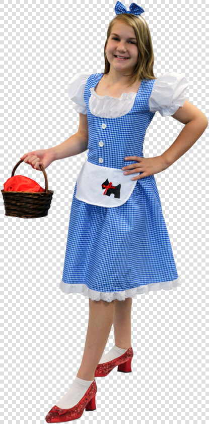 Tween Dorothy Girl Costumes  HD Png DownloadTransparent PNG