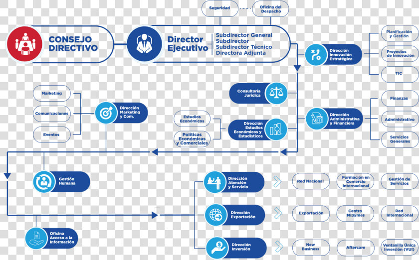 Organization Chart   Organigrama De La Ley 630 16  HD Png DownloadTransparent PNG