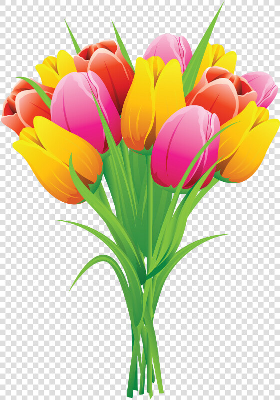 Png Clip Art   Tulips Clipart  Transparent PngTransparent PNG