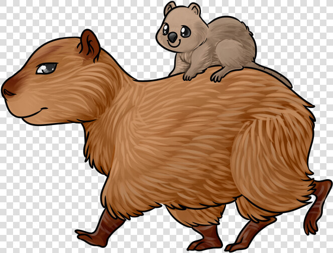 Transparent Quokka Png   Capybara Easy To Draw  Png DownloadTransparent PNG