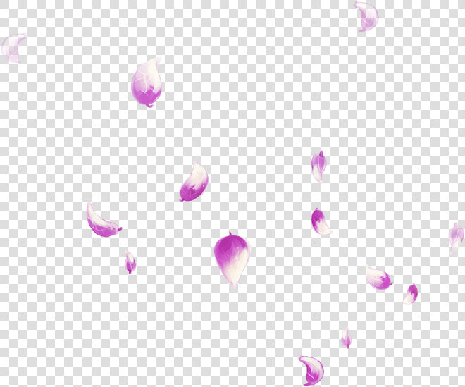 Petal Falling Transprent Png Free Download Pink   Rose  Transparent PngTransparent PNG