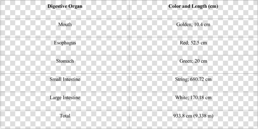 Length Of Digestive System In Cm  HD Png DownloadTransparent PNG