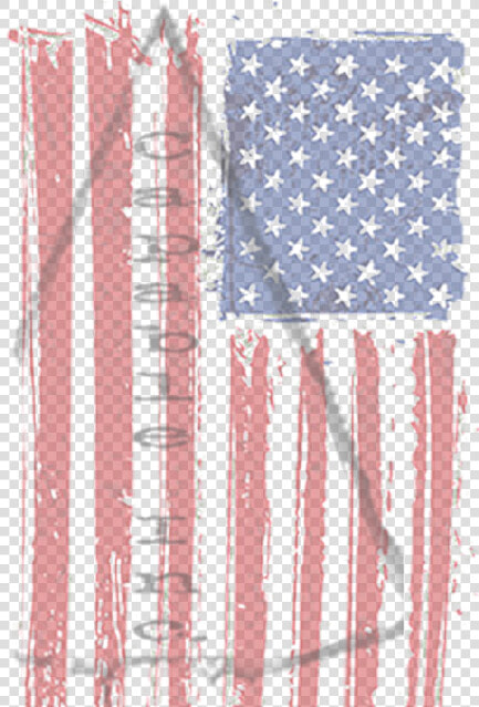 Green Day American Idiot Flag  HD Png DownloadTransparent PNG