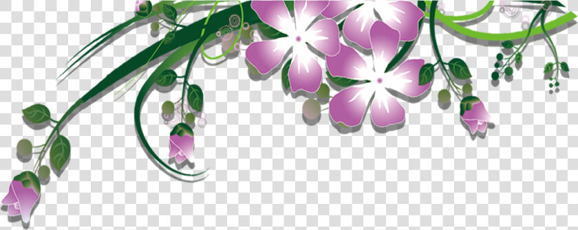 Garland Clipart Plant   Cooktown Orchid  HD Png DownloadTransparent PNG