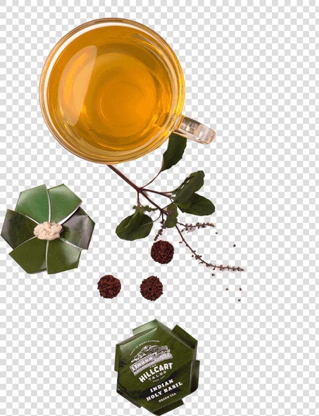 Catalog green Tea indian Holy Basil T   Graphic Design  HD Png DownloadTransparent PNG