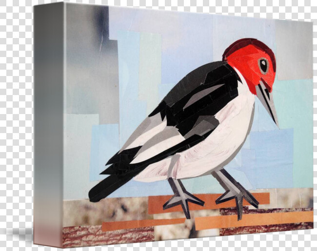 Clip Art Carpenter Bird  HD Png DownloadTransparent PNG