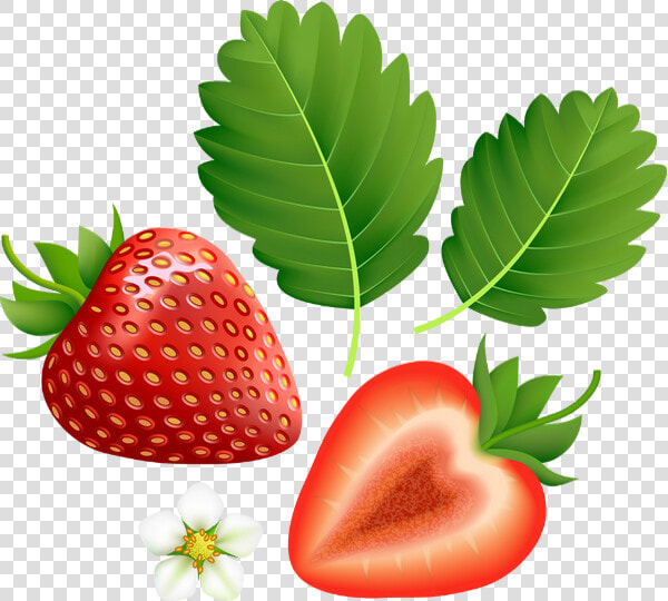 Imagenes De Fresas Png   Transparent Background Strawberry Clipart  Png DownloadTransparent PNG