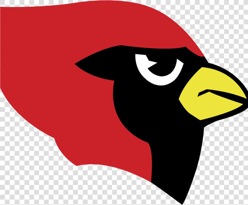 Arizona Cardinals Clipart   Png Download   Harlingen High School Cardinal  Transparent PngTransparent PNG