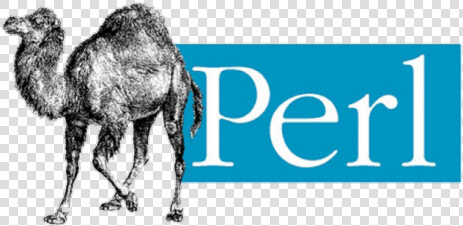 Perl Language Logo Png  Transparent PngTransparent PNG