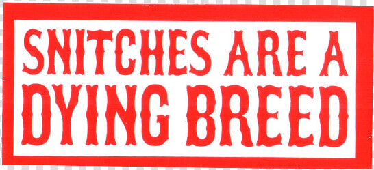 Snitches Are A Dying Breed   Bored Of Being Bored Because  HD Png DownloadTransparent PNG