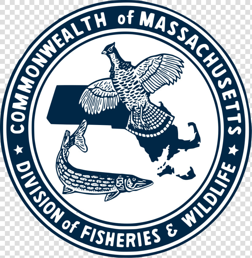 Division Of Fisheries And Wildlife Massachusetts Wikipedia   Emblem  HD Png DownloadTransparent PNG