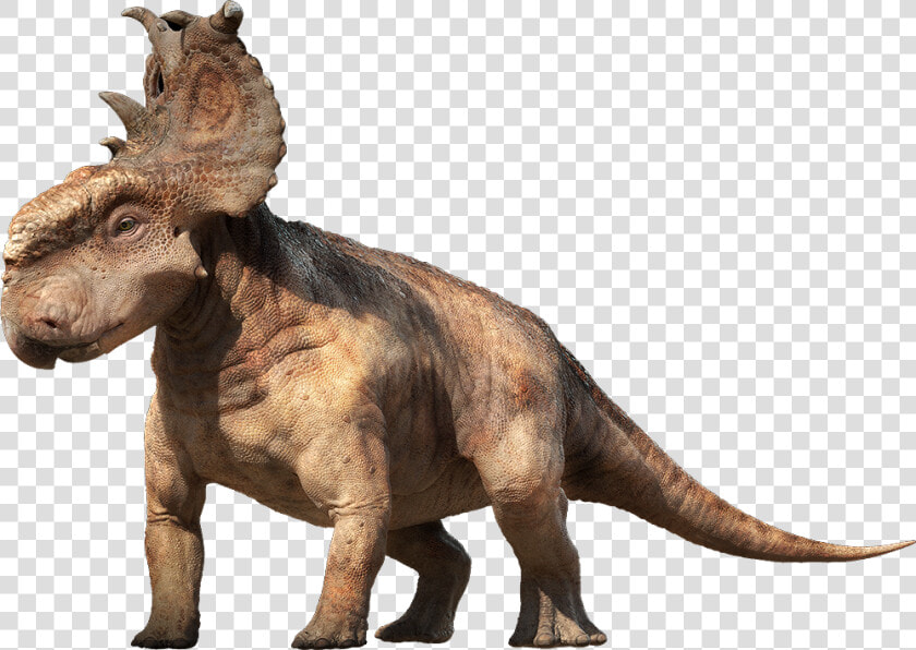 Dinosaur Png Image   Dinosaur Pachyrhinosaurus  Transparent PngTransparent PNG