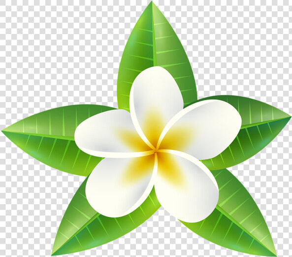 Tropical Flower Png Clip Art Imageu200b Gallery Yopriceville   Tropical Flowers Clipart  Transparent PngTransparent PNG