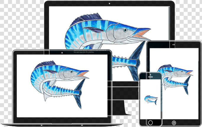 Class Img Responsive Animated Zoominup Animation Delay   Sailfish  HD Png DownloadTransparent PNG