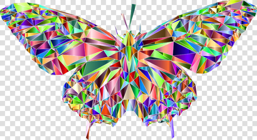 Butterfly Cartoon Pictures 24  Buy Clip Art   Poly Art Butterfly  HD Png DownloadTransparent PNG