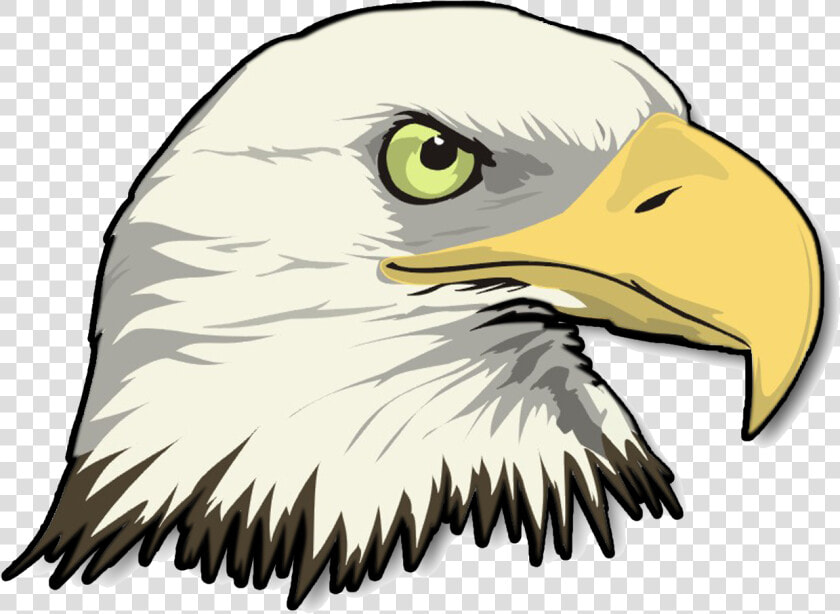 Png Stock Eagle Head Transparent Image   Cartoon Bald Eagle Head  Png DownloadTransparent PNG